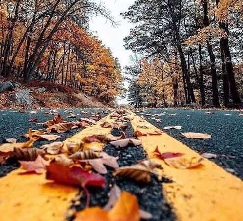 ایک غزل مختلف سی تازہ ترین
