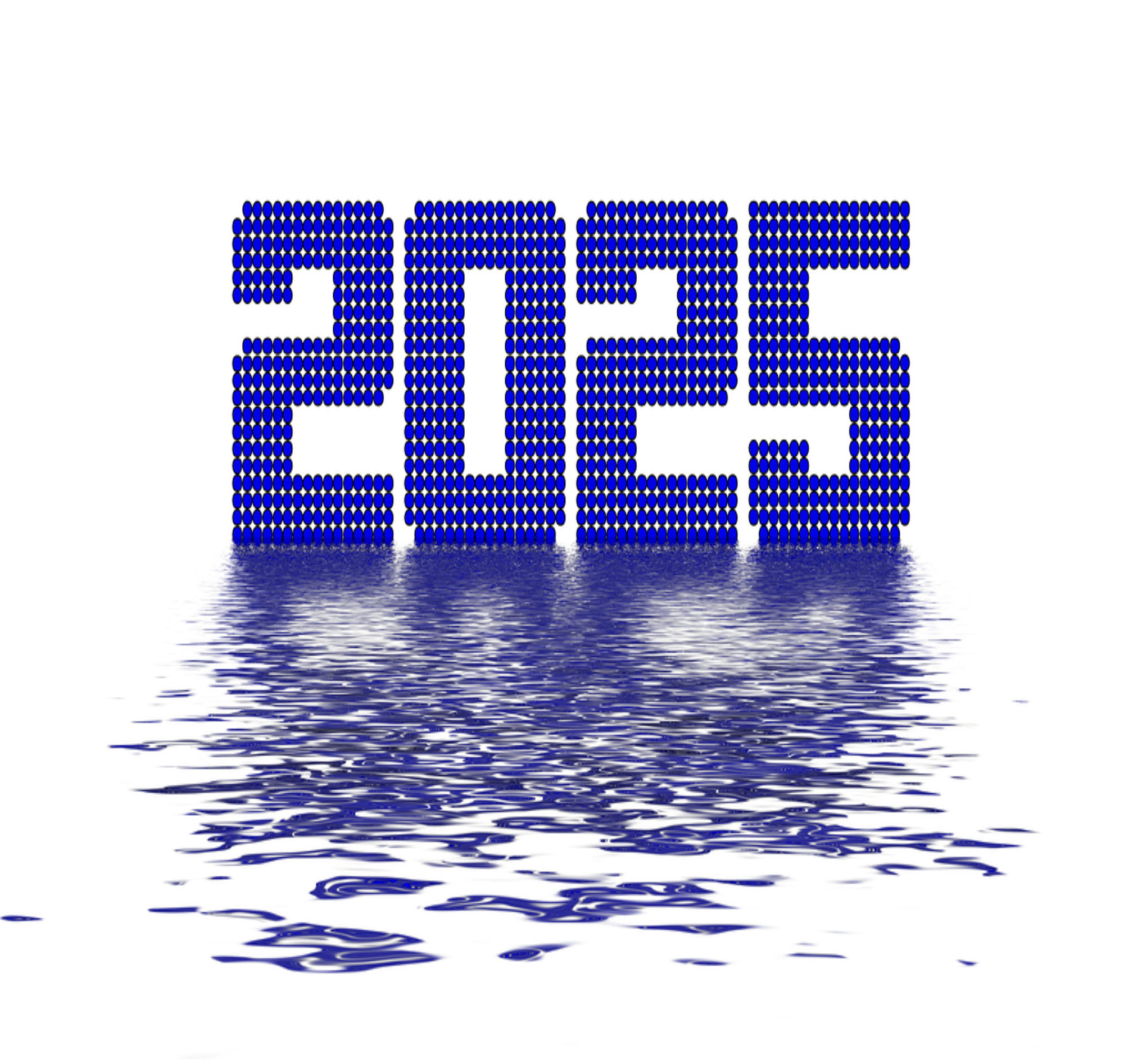 الوداع 2024۔ خوش آمدید 2025